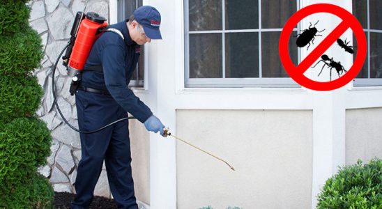 Beytüşşebap Dezenfeksiyon böcek ilaçlama ve haşere kontrolü — ilaclama-tr.com